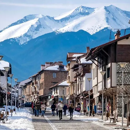 Bashtin Dom - Skabrin House Guest house Bansko