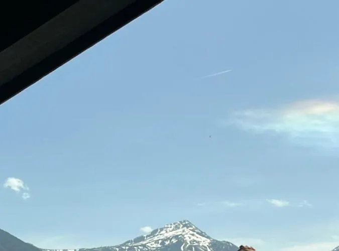 Bashtin Dom - Skabrin House