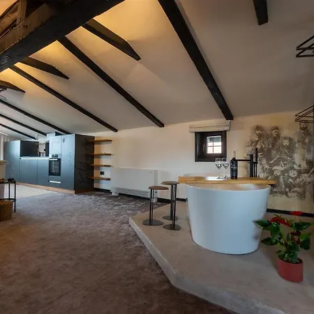 Bashtin Dom - Skabrin House