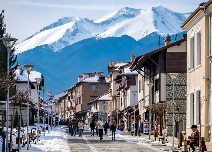 Bashtin Dom - Skabrin House Guest house Bansko